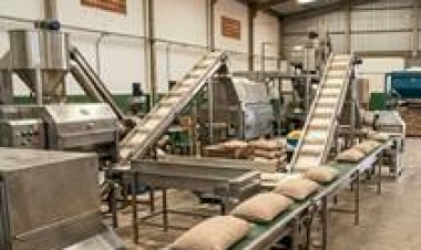 CMN autoriza financiamento de capital de giro para cooperativas enquadradas no Pronaf Agroindústria