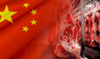 Importações de carne bovina da China sobem 33% no 1º tri/26