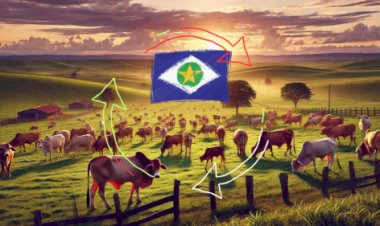 Mato Grosso aumenta em 127% número de cadastros validados com CAR Digital 2.0