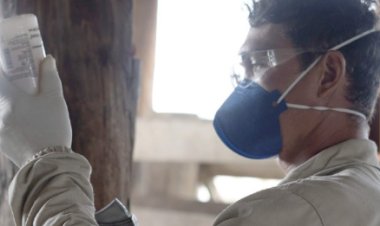 Saúde animal: CNA cobra providências para falta de vacina no País