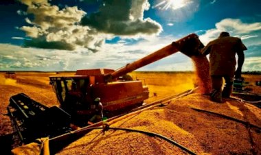 Crédito cresce mais de 20% no Tocantins e impulsiona negócios em todo o estado