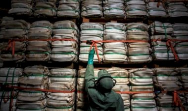 Preços de insumos mostram sinais de ajuste