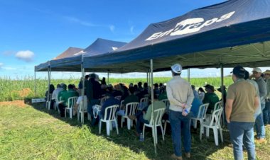 Aprosoja Tocantins convida produtores para Dia de Campo em Paraíso do Tocantins com foco em manejo e produtividade