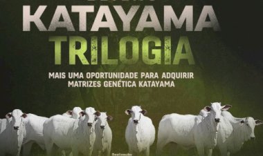 LEILÃO KATAYAMA TRILOGIA