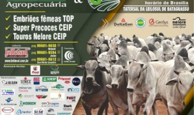 LEILÃO P@RM AGROPECUARIA & AGROPECUARIA 3BA