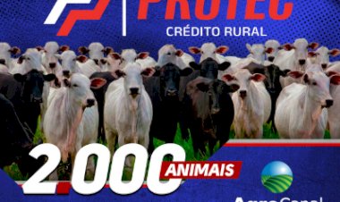 2º LEILÃO VIRTUAL PROTEC CREDITO RURAL