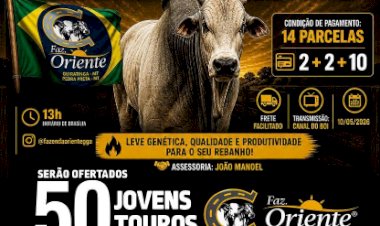 1ª LEILÃO PRODUÇÃO FAZENDA ORIENTE