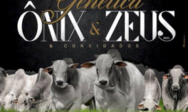 17º LEILÃO VIRTUAL GENÉTICA ÔNIX & ZEUS E CONVIDADOS