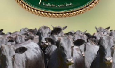 XXV CIRCUITO DE LEILÕES FAZENDAS BARTIRA - 1ª ETAPA