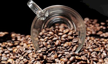 SRB e Embrapa discutem novo ciclo na cafeicultura