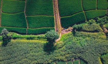 O que são os falsos-positivos do Prodes e como eles impactam o produtor rural?