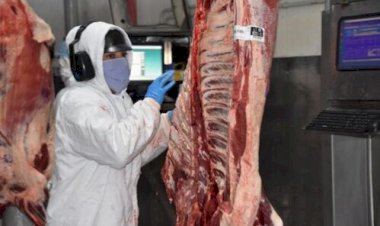 UE mantém demais países do Mercosul como exportadores de carne