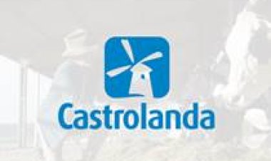 Produção de leite da Castrolanda ultrapassa 536 milhões de litros em uma década