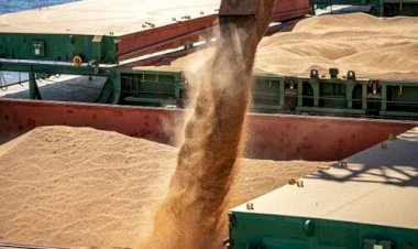 Demanda por soja segue no foco do mercado