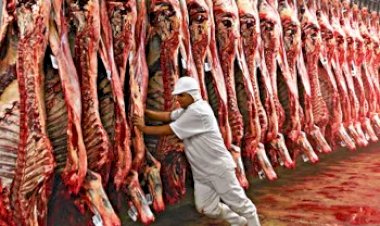 Brasil lidera o fornecimento de carne bovina importada pelos EUA no 1º trim/26, aponta USDA