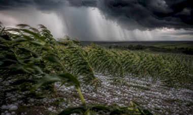 INMET alerta para tempestades com granizo em áreas produtoras nesta terça