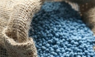 Mercado de fertilizantes mantém estabilidade