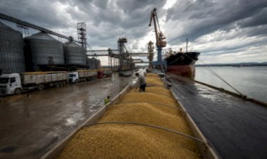 Risco de novas tarifas dos EUA coloca agro brasileiro em alerta