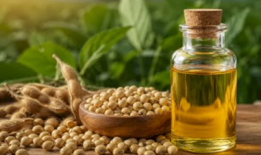 Alta do óleo de soja com demanda do biodiesel sustenta preços do grão