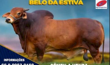 Declaração Pecuária 2026 reforça defesa agropecuária e mobiliza produtores em todo o Tocantins