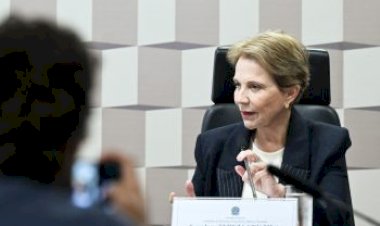 Tereza Cristina defende política nacional para transformar minerais críticos em desenvolvimento e inovação