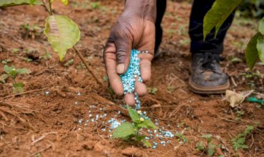 Entregas de fertilizantes somam mais de 9 milhões de toneladas no primeiro trimestre
