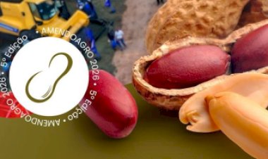 AmendoAgro 2026
