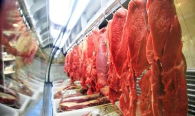UE suspende carne do Brasil, mas medida já era esperada pelo mercado, diz especialista