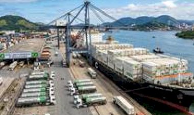 Mesmo aprovado, antidumping sobre leite em pó importado é adiado