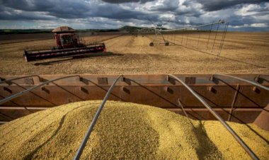 Brasil deve colher 358,6 milhões de toneladas de grãos na safra 2025/26