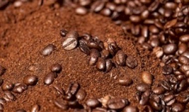 Exportações de café avançam em maio, mas receita cai 16%