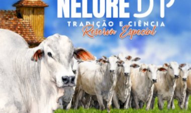 34º LEILÃO NELORE DP - TRADIÇÃO E CIÊNCIA