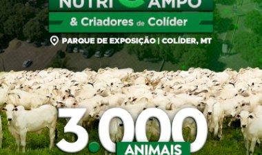 19º LEILÃO AGRO CAMPO NUTRI CAMPO & CRIADORES DE COLIDER