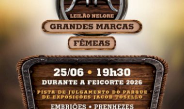 LEILÃO GRANDES MARCAS - FÊMEAS
