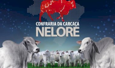 3º LEILÃO CONFRARIA DA CARCAÇA NELORE