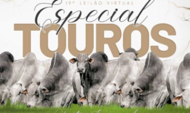 19º LEILÃO VIRTUAL ESPECIAL DE TOUROS ÔNIX & ZEUS