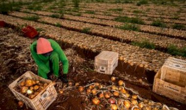 Em semana de votação histórica, governo abre ofensiva contra medidas que ajudam produtor rural