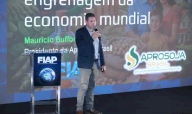 Rentabilidade da soja preocupa para 2026/27, apesar do papel estratégico da cultura