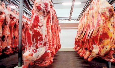 Exportações brasileiras de carne bovina in natura superam US$ 1,2 bilhão na parcial de jun/26
