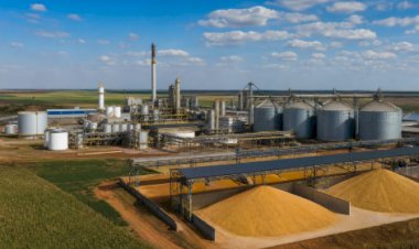 BNDES aprova R$ 618 milhões para planta de etanol de cereais em Minas Gerais