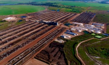 Rota da Pecuária leva produtores a conhecer tecnologias de ponta em confinamento bovino