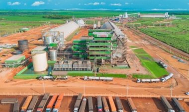 Quatro empresas do Tocantins figuram entre as 500 maiores do agronegócio brasileiro em ranking do Globo Rural