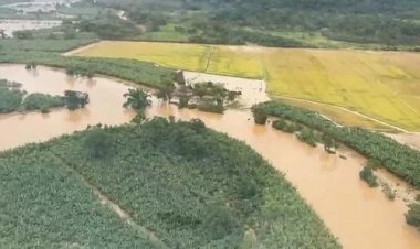 Sul do Brasil entra em alerta para chuva intensa; veja as áreas de maior risco