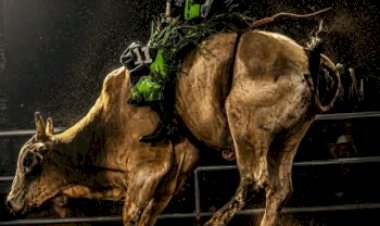 Caldas Rodeo será realizado em setembro com segunda rodada da Etapa Master 2027 da PBR