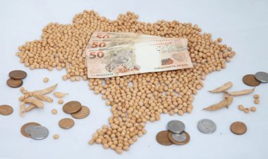 Oferta restrita limita negócios de soja no Brasil, mas preços são firmes; confira as cotações