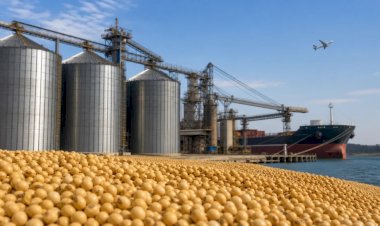 Acordo entre Mercosul e Japão pode beneficiar 18,4? pauta exportadora brasileira