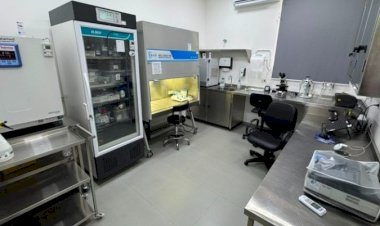 Governo de SP quadruplica produção de insumos para diagnóstico de brucelose e tuberculose