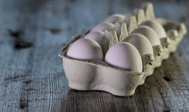 Oferta de ovos poderá ser afetada com desaceleração na produção