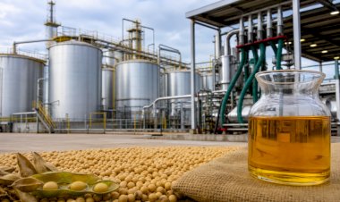ANP atualiza regra para uso voluntário de biodiesel