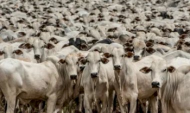 Cobrança da nova modalidade de contribuição ao Fundesa-RS é adiada